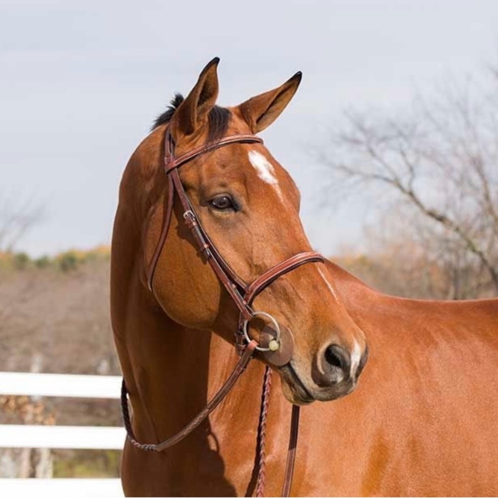 NWT Horze Champion Snaffle Leather Show Bridle w/ Reins, Tan, Size F (Horse)